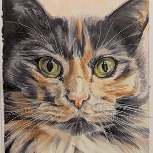 Custom Pet Portrait from Photo, Pet Memorial Gift, Color Illustration