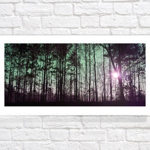 Colorful Sunrise Forest Photography Giclee Art Print, Contemporary Landscape Art Print, Woodland Nature Home Decor image 3
