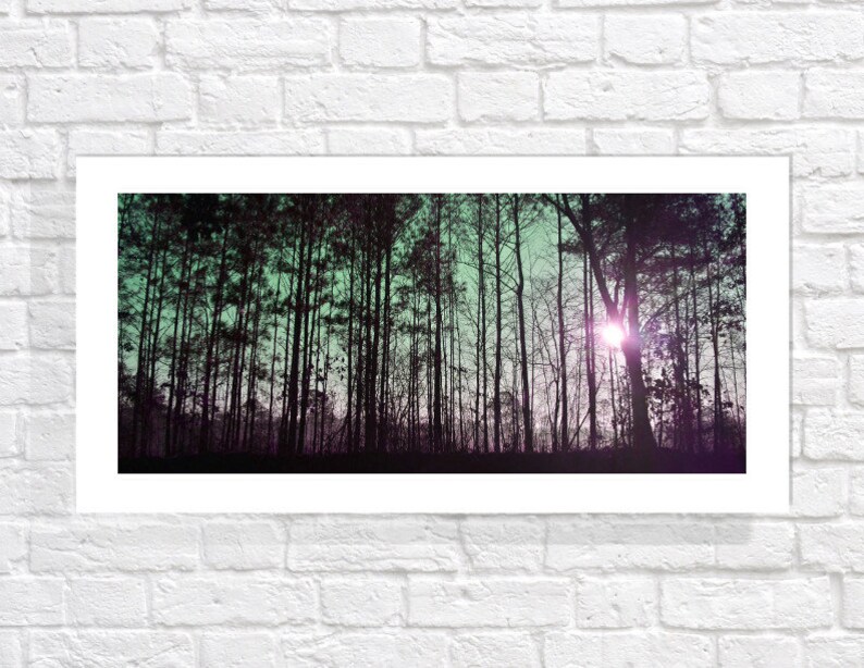 Colorful Sunrise Forest Photography Giclee Art Print, Contemporary Landscape Art Print, Woodland Nature Home Decor image 3