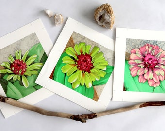 Zinnia Flower Illustration Prints Gift Set from Original Drawings