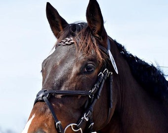 Handmade British Leather Browband: Horse or Pony Tack