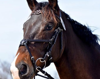 Bridle Browband in leather, Celtic knot, fancy browband for dressage, showing, eventing gift, handmade harness, horse or pony