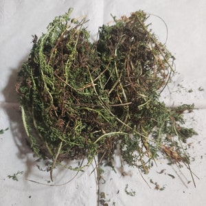 Yarrow Leaves, dried