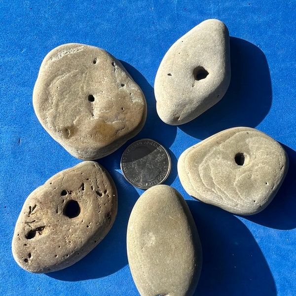 Lot of 5 Hag Stones ~ Holey Stones ~ Natural Holed Beach Stones