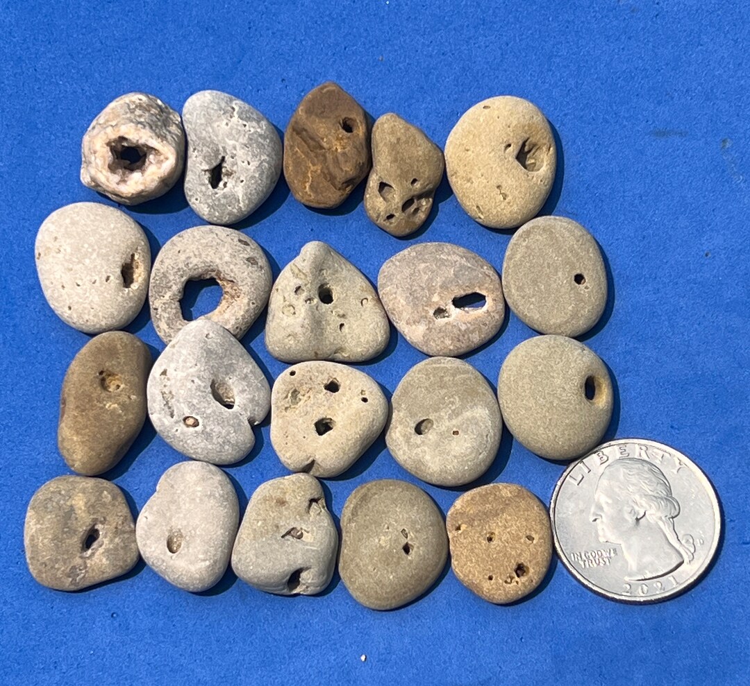 Lot of 20 Hag Stones Holey Stones Natural Holed Beach Stones Jewelry