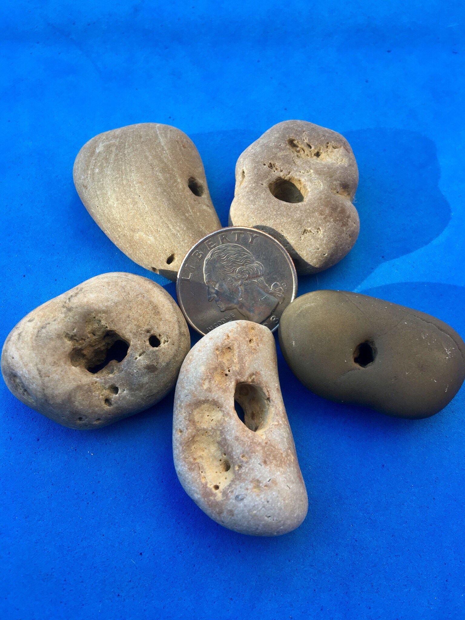 Lot of 5 Hag Stones / Holey Stones/Adder Stones / Stones with Etsy