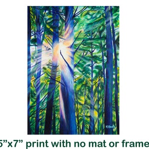 Sun Rays - forest, color pencil drawing, art print, small prints,