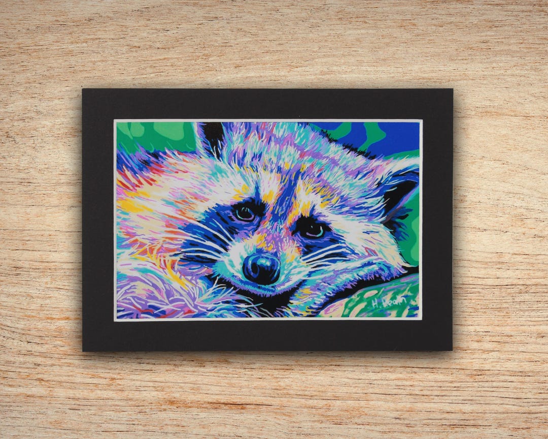 Raccoon– Matted Print, Acrylic Painting, Art Print, New Hampshire ...