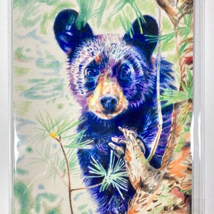 Bear Cub, color pencil drawing, print, art, black bear, colorful, bright, vivid, 5x7, unmated