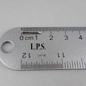 May include: A silver metal nail measuring 1 cm in length, placed on a ruler with markings in centimeters.