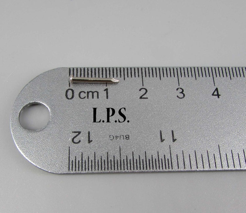 May include: A silver metal nail measuring 1 cm in length, placed on a ruler with markings in centimeters.
