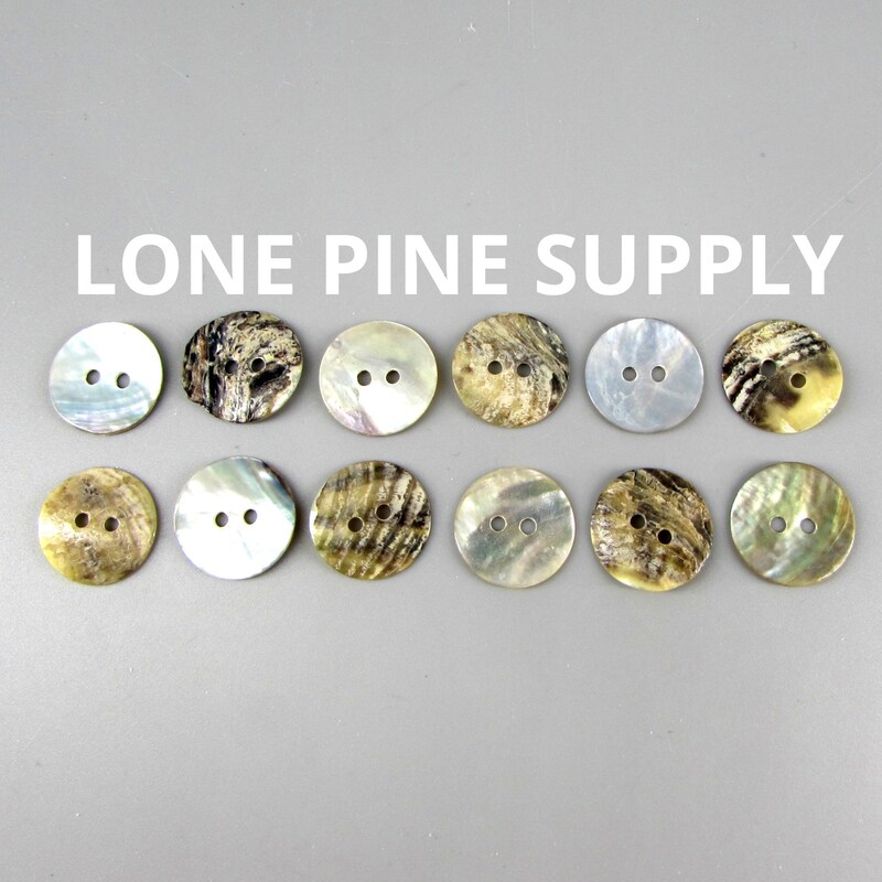 Mussel Shells - Etsy