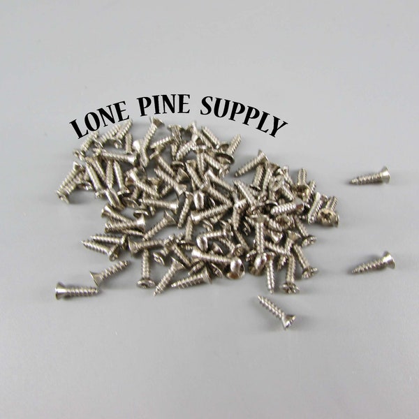 5/16 Inch Steel Screws, 100 5/16 Inch Screws, Silver Steel Screws