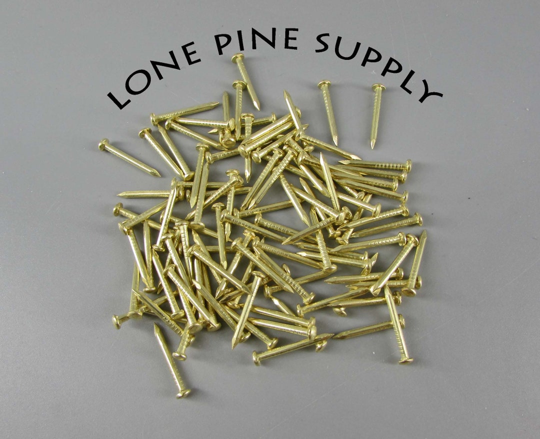 100 5/8 Inch Brass Plated Nails. Small Polished Brass Nails Etsy