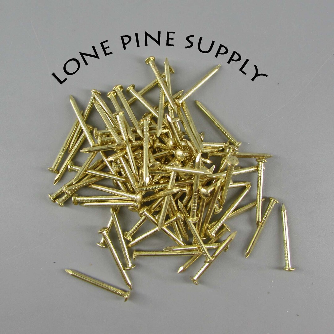 100 3/4 Inch Brass Plated Nails. Small Polished Brass Nails Etsy