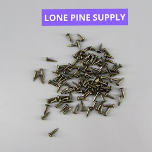 100 Antique Brass Plated Nails. Small Antique Brass Nails, 1/4 Brass Nails, Hobby Nails, Small Gauge Nails