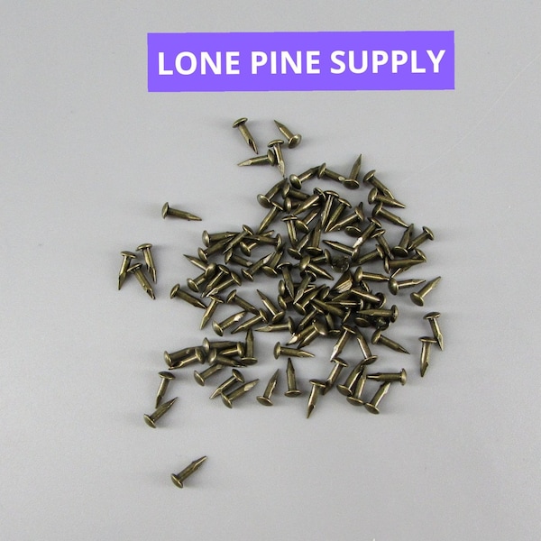 100 Antique Brass Plated Nails. Small Antique Brass Nails, 1/4 Brass Nails, Hobby Nails, Small Gauge Nails