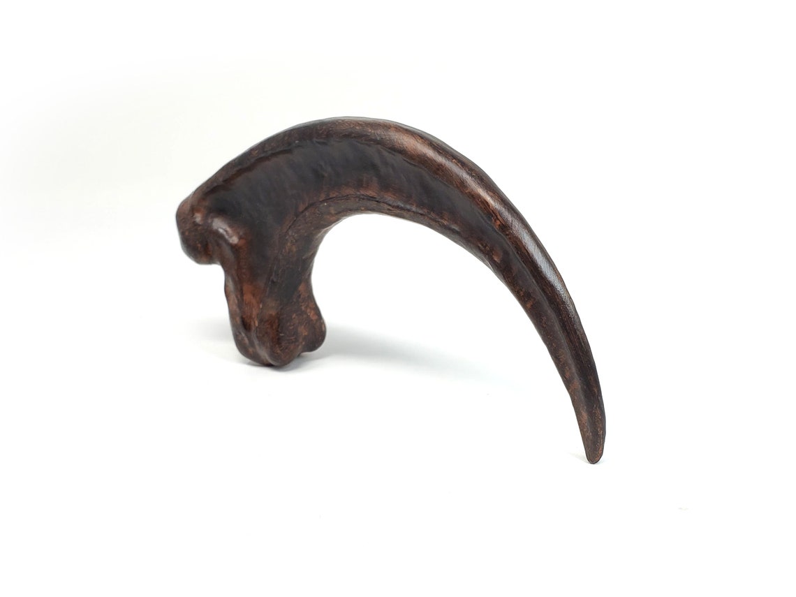 Jurassic Park Velociraptor Claw Raptor Claw Solid Resin - Etsy