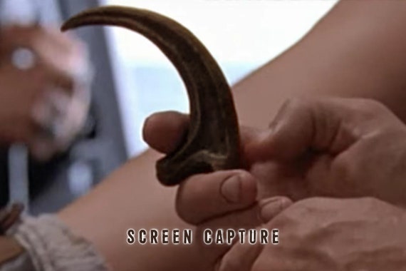 Velociraptor Claw – Raptor Claw – Solid Resin Cast – Yaxa Store