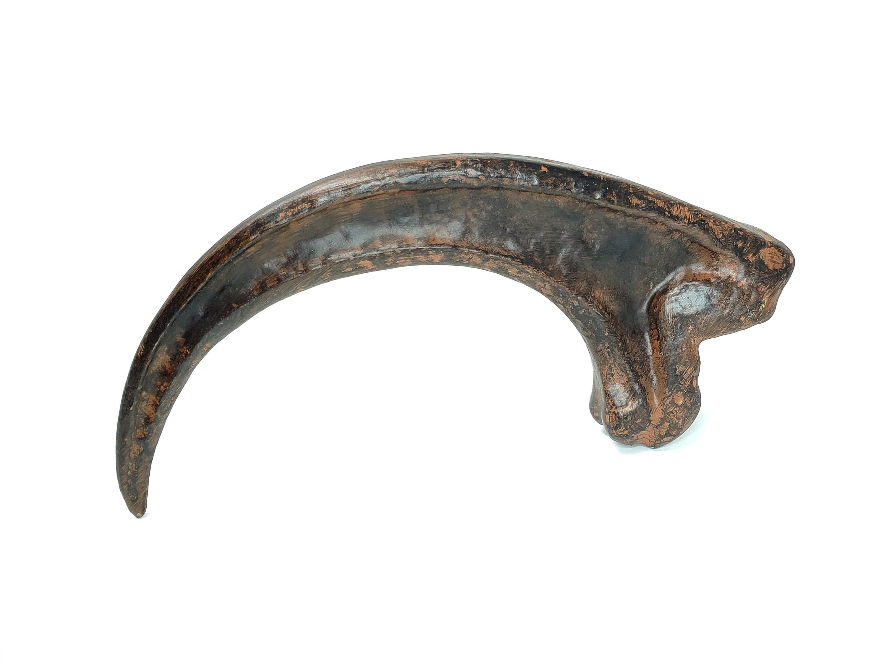 velociraptor claw authentic