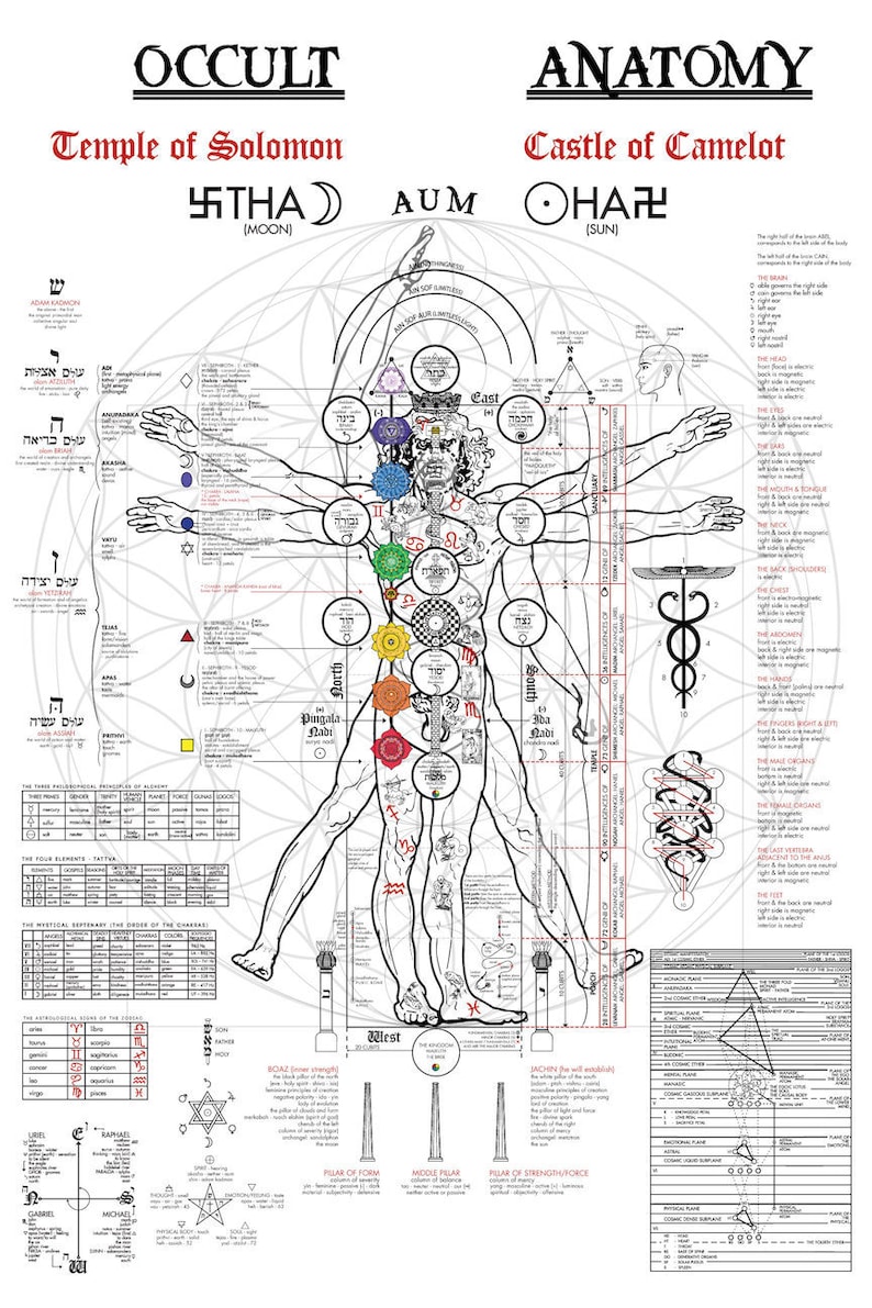 The Occult Anatomy Print 24x36 Kabbalah Alchemy Tree | Etsy diagram of 12 chakras 