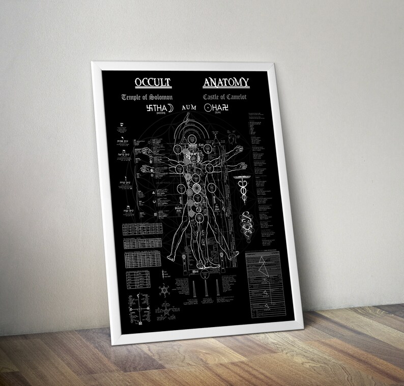 Occult Anatomy Extra Large Occult Poster 36x48 Occult | Etsy