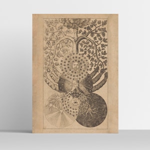 Tree Of Dark And Light - Studium Universale, Valentine Weigel - (1695) | Occult | Cabala | Zohar | Kabbalah | Tree of Knowledge | Böhme
