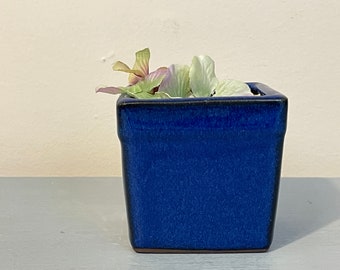 Indigo Blue Glazed Small Square Jardiniere Pot  2 Inch Vintage 1980s Planter