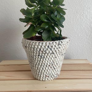 May include: A small potted plant with dark green leaves sits inside a cream-colored, hand-crocheted pot. The pot has a speckled texture and is placed on a light wooden surface.