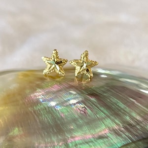 14k Solid Gold Starfish Sea Star Stud Earrings