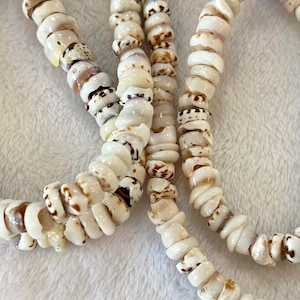 Hawaiian Authentic Puka Shell Necklace, Bracelet or anklet. image 2