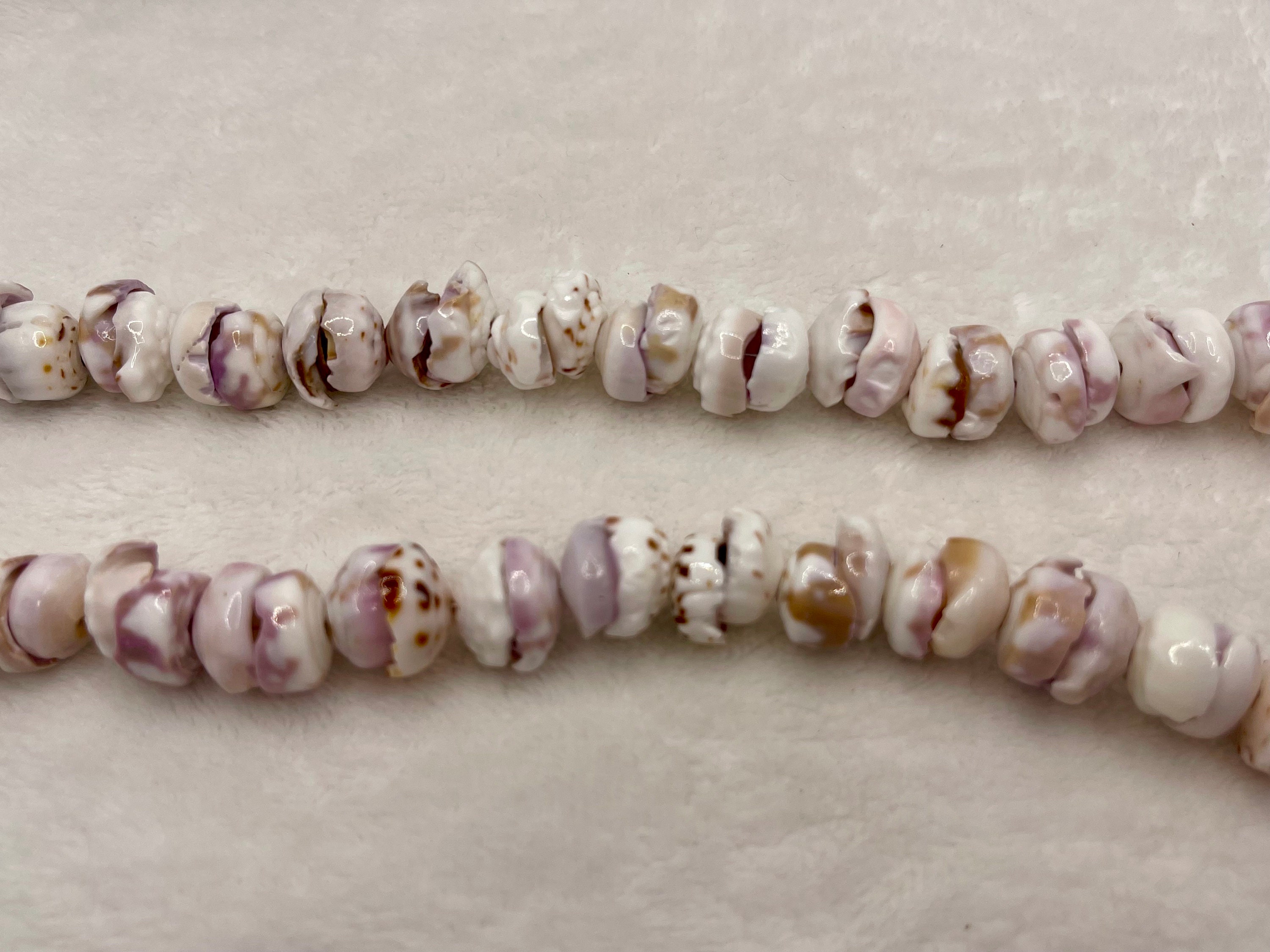 Large Puka Shell Authentic Hawaiian Style With Genuine Tahitian Black ...