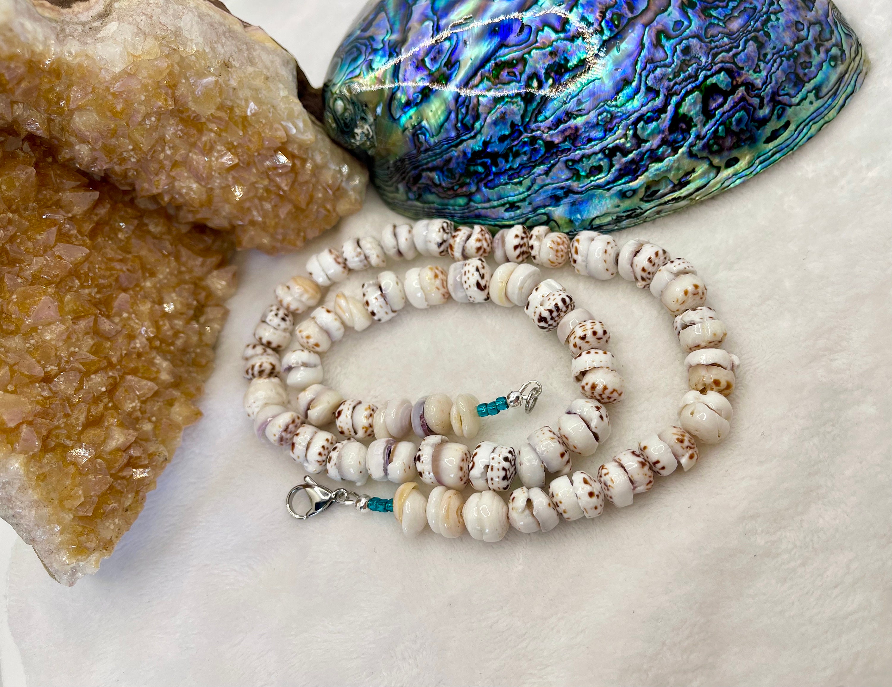 Large Shell Hawaiian Authentic Large Puka Shell Necklace Large Shell - Etsy