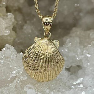 14K Solid Gold Sea Shell Pendant Necklace