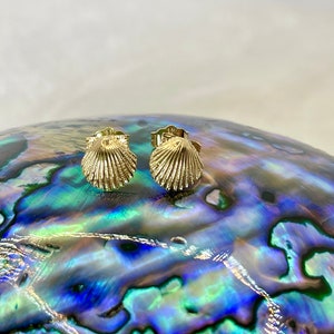 14k Solid Gold Sea Shell Stud Earrings