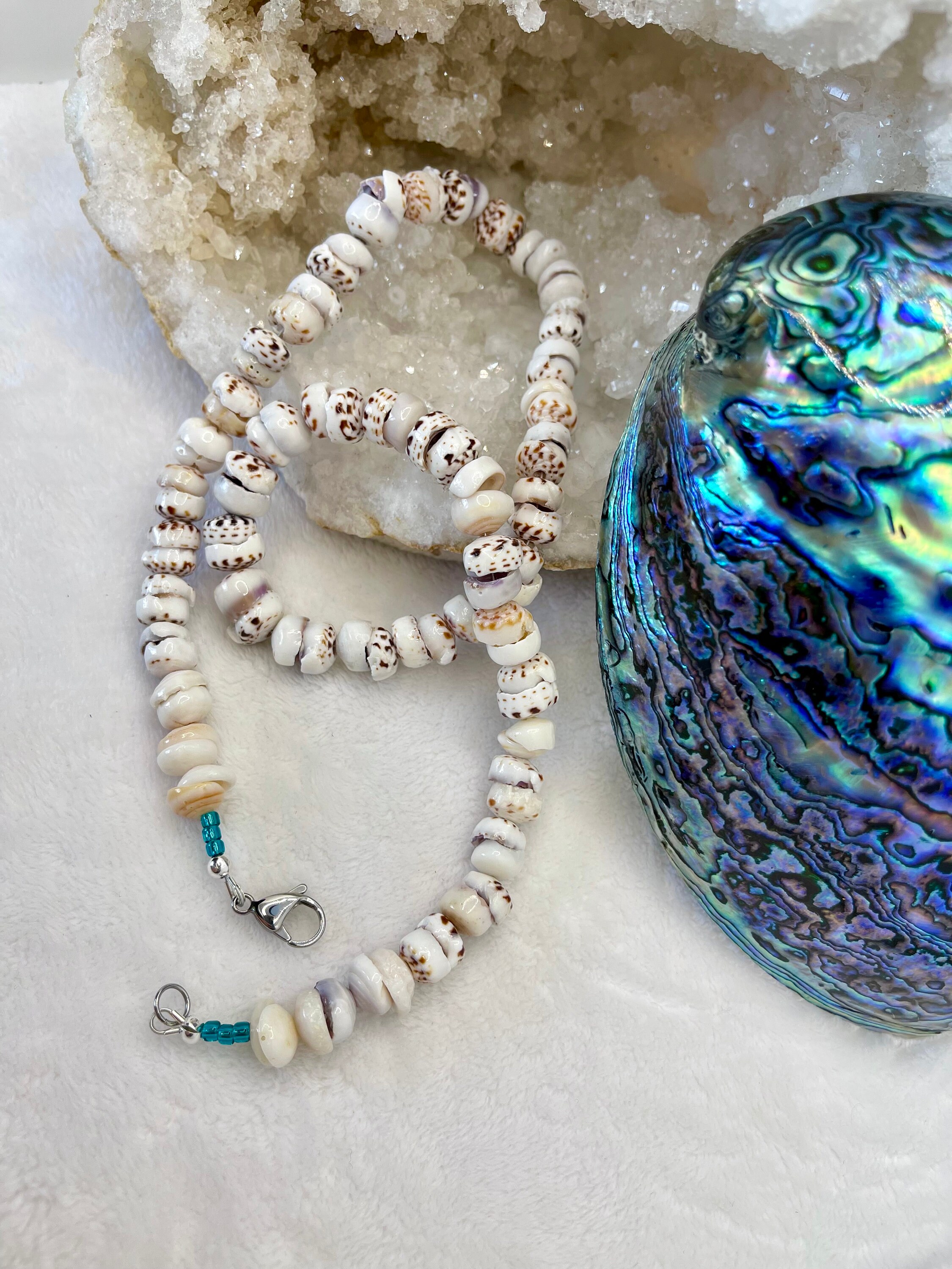 Large Shell Hawaiian Authentic Large Puka Shell Necklace Large Shell - Etsy