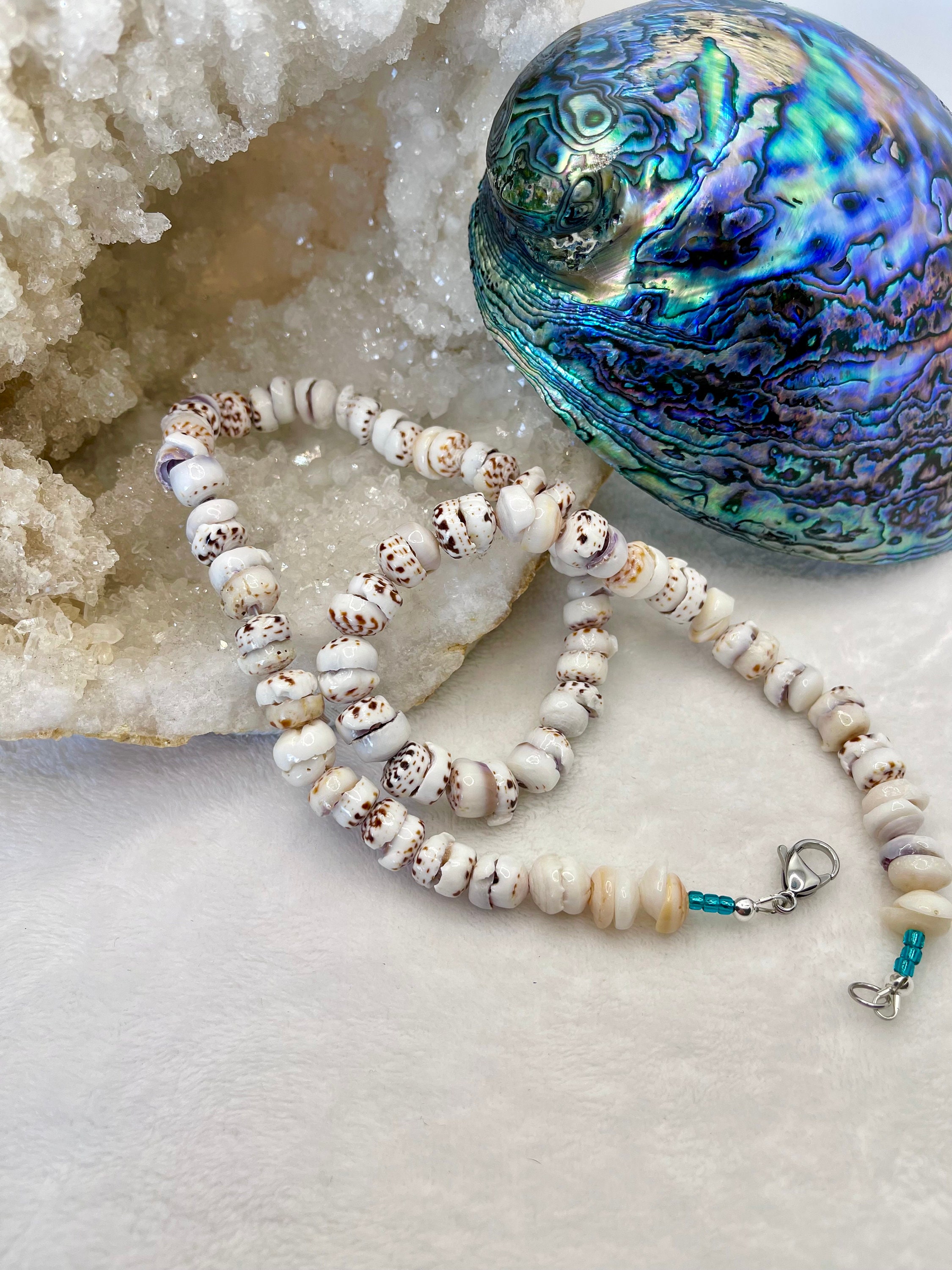 Large Shell Hawaiian Authentic Large Puka Shell Necklace Large Shell - Etsy