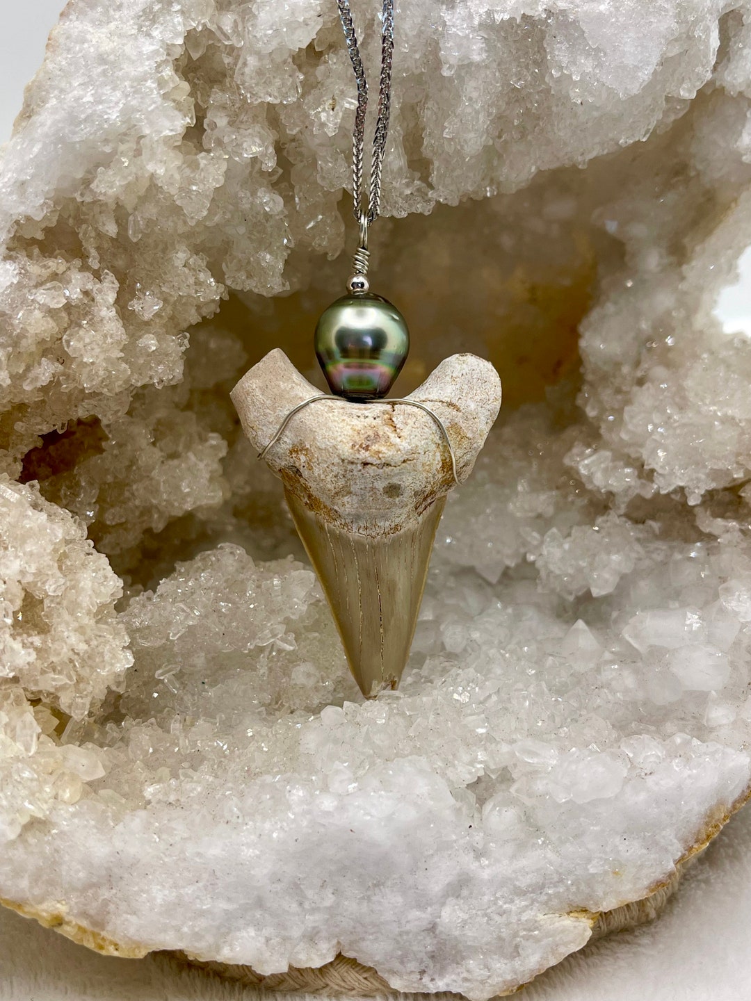 Fossilized Shark Tooth With Black Pearl From Tahiti Necklace - Etsy