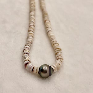 Hawaiian Authentic Puka Shell With Tahitian Pearl Necklace