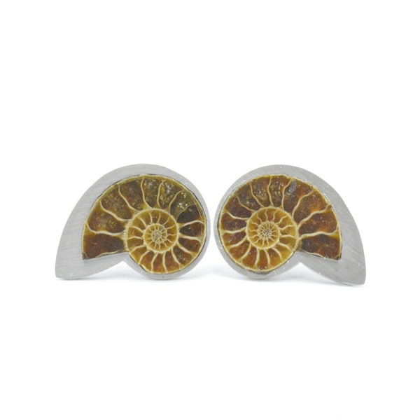 Nautilus cufflinks, shell cufflinks, Silver cufflinks,silver fossil Ammonite cufflinks