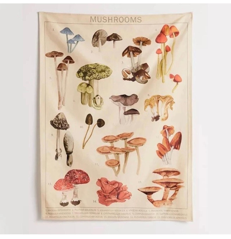 URBAN OUTFITTERS Canvas Tapestry Mushroom Illustrations wall hanging boho decor image 1