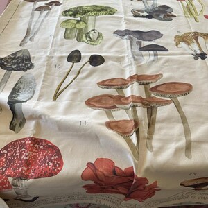 URBAN OUTFITTERS Canvas Tapestry Mushroom Illustrations wall hanging boho decor image 2
