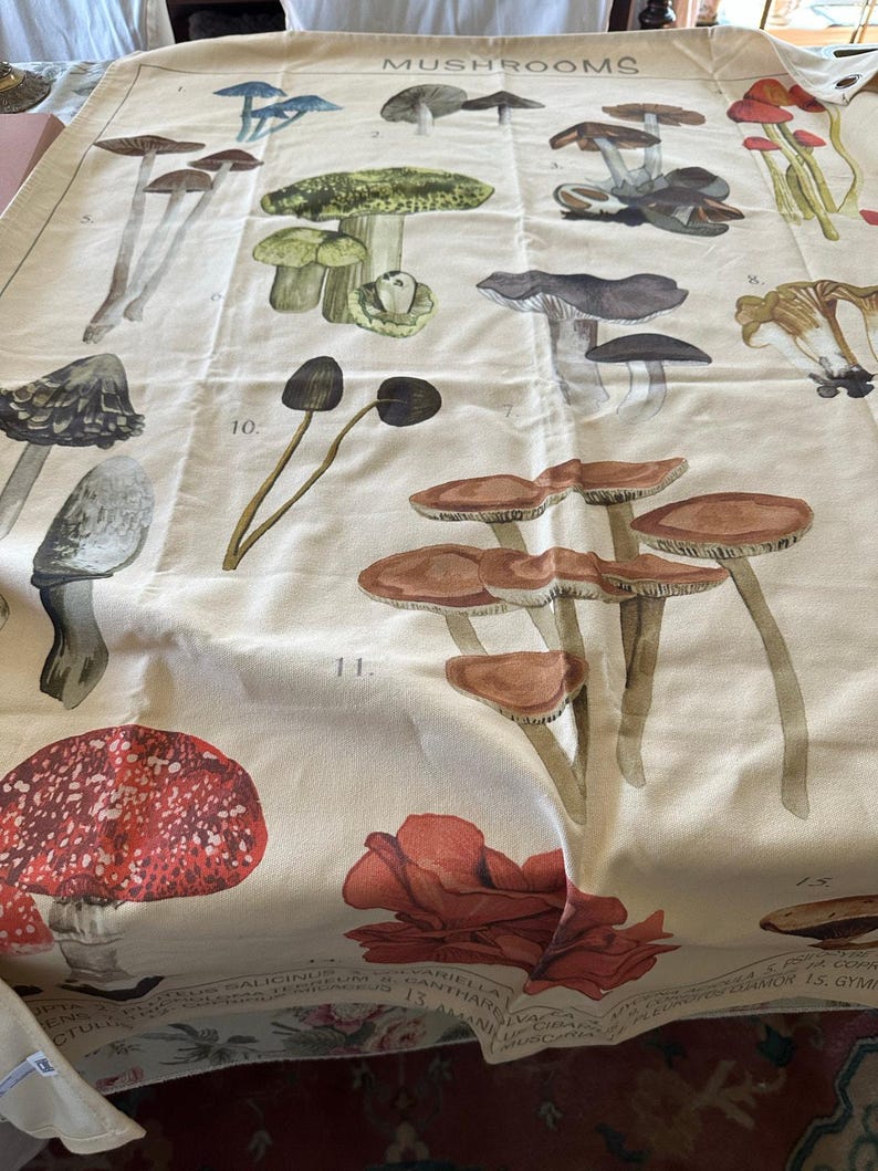 URBAN OUTFITTERS Canvas Tapestry Mushroom Illustrations wall hanging boho decor image 2
