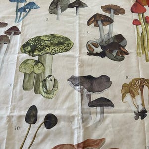 URBAN OUTFITTERS Canvas Tapestry Mushroom Illustrations wall hanging boho decor image 5
