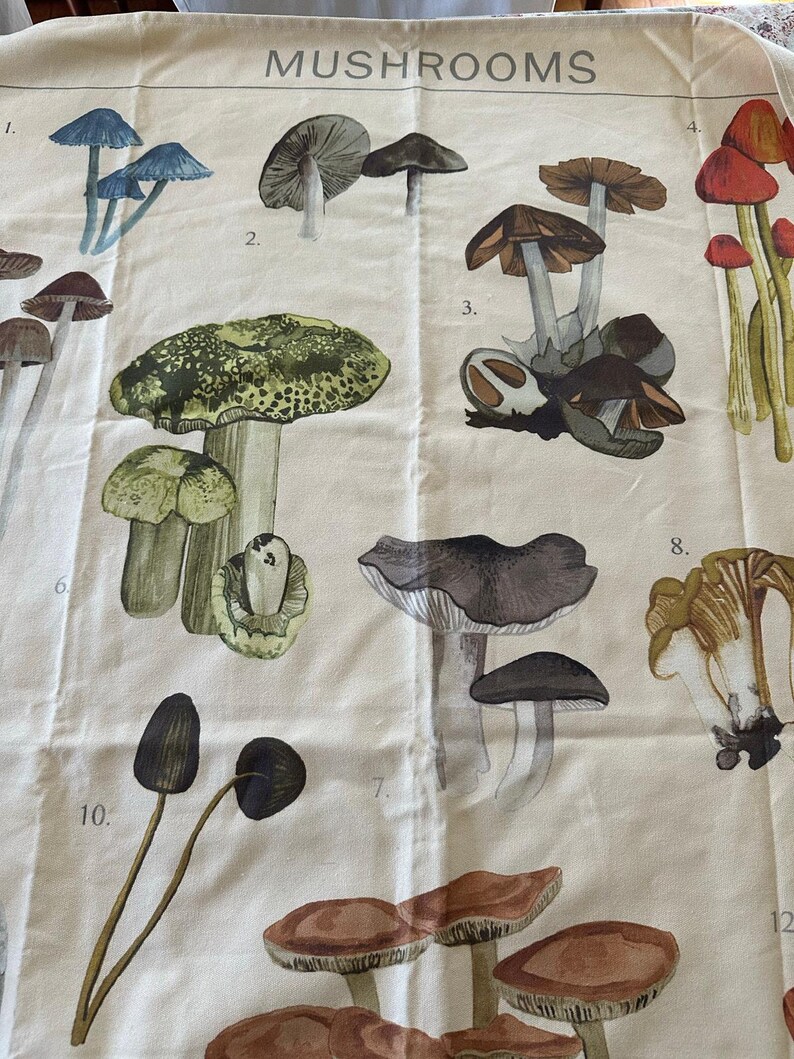 URBAN OUTFITTERS Canvas Tapestry Mushroom Illustrations wall hanging boho decor image 5