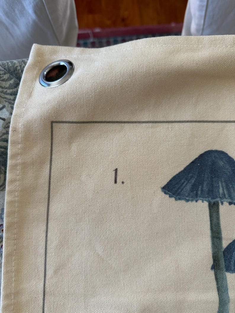 URBAN OUTFITTERS Canvas Tapestry Mushroom Illustrations wall hanging boho decor image 6