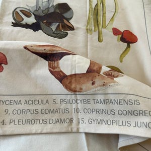 URBAN OUTFITTERS Canvas Tapestry Mushroom Illustrations wall hanging boho decor image 7