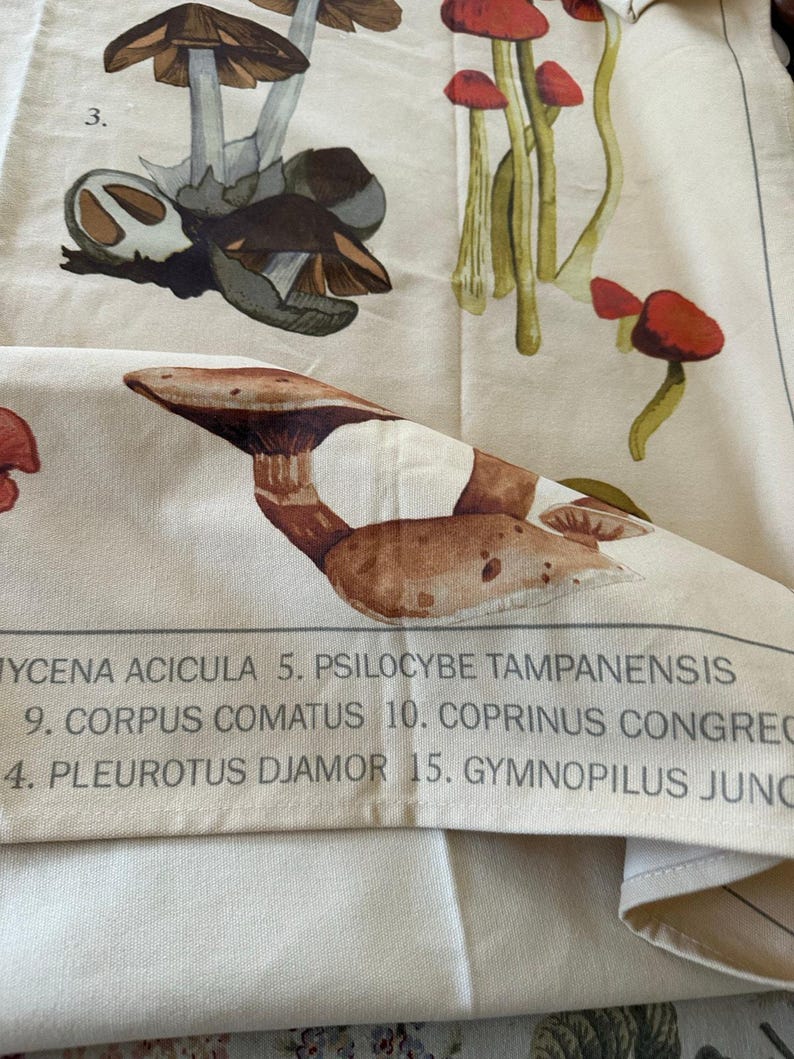 URBAN OUTFITTERS Canvas Tapestry Mushroom Illustrations wall hanging boho decor image 7