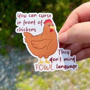 Puede incluir: Una pegatina con una ilustración de un pollo de dibujos animados y el texto: "Puedes maldecir delante de los pollos. No les importa el lenguaje soez." El pollo es marrón con cresta roja y pico y patas amarillas.