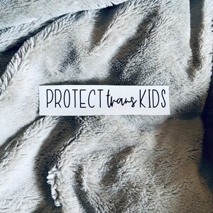Protect Trans Kids Decal - Transgender Decal - Queer - LGBTQIA+ - Say Gay